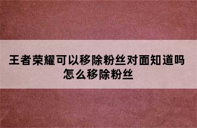 王者荣耀可以移除粉丝对面知道吗 怎么移除粉丝